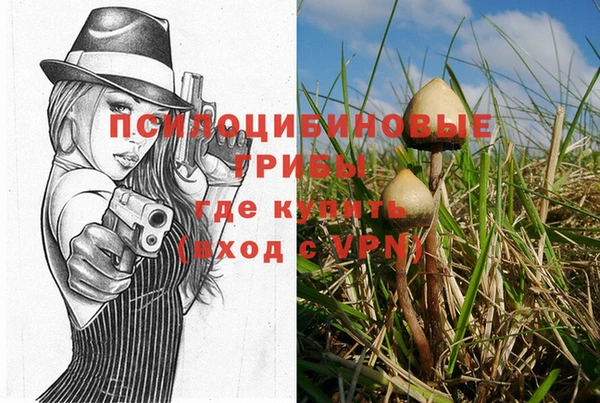 шишки Елабуга